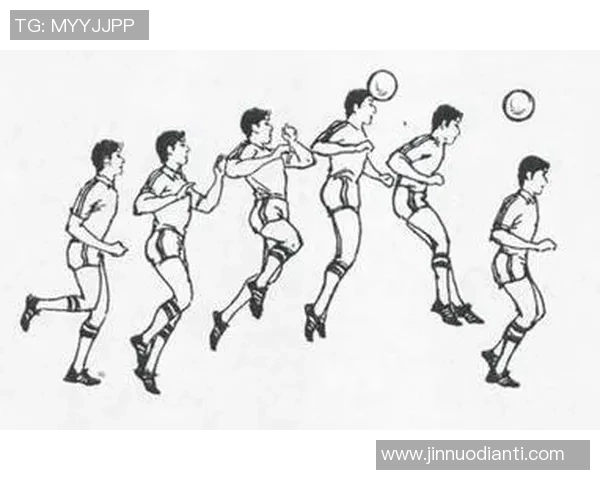 探索足球球种的多样性与演变历程及其对全球体育文化的影响